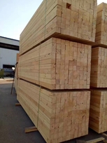 建筑方木用在哪里(建筑方木一般用哪些)