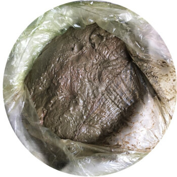 油腻子是什么(油腻子是什么意思)